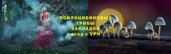 PSILOCYBIN Вязьма