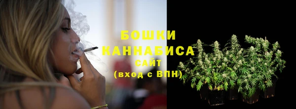 PSILOCYBIN Вязьма