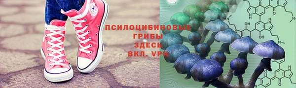 кокс Вяземский