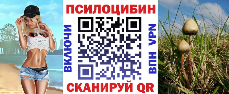 Галлюциногенные грибы мухоморы  наркошоп  Звенигово 